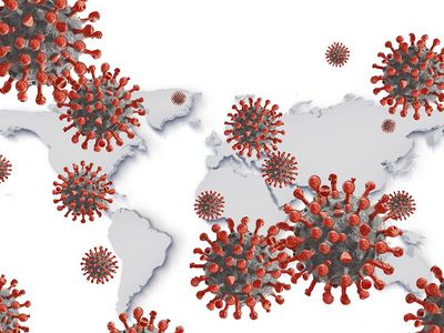 Тест задержанного на границе с Беларусью афганца положительный: в самоизоляции 8 пограничников - Происшествия и криминал