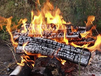 Даля Грибаускайте против монополистов-тепловиков - Энергетика