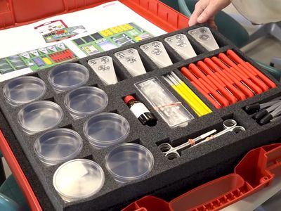 Laida "Savaitės kontūrai" 2025-09-05 - Visagine