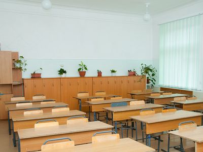 Депутат предлагает обязать международные школы учить детей истории Литвы - Литва и страны Балтии