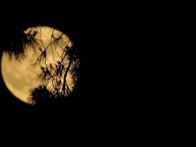 Как Луна влияет на наш сон - Наука и здоровье