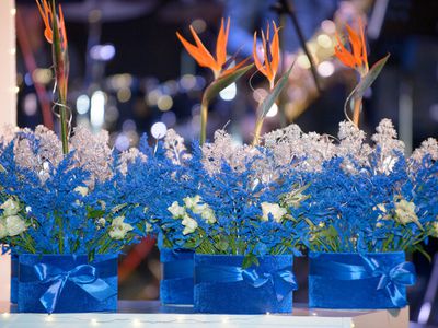 «Мой город - Висагинас» - Висагинас и висагинцы