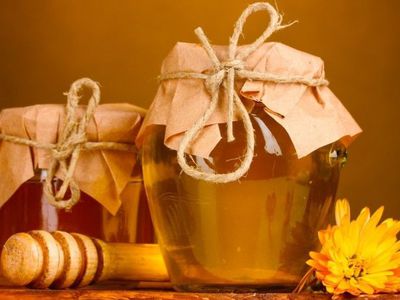 Меда в этом году будет меньше - Литва и страны Балтии