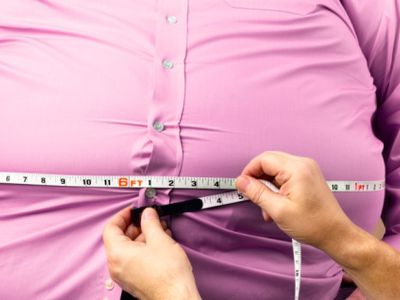 Ученые: Причина ожирения — в мозгах - Наука и здоровье