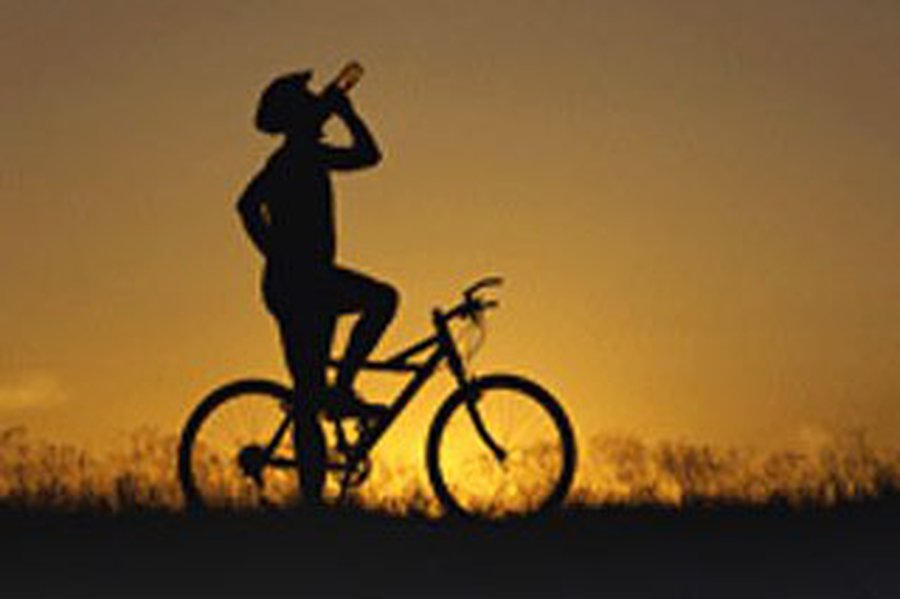 В Латвии пьяные водители стали притворяться велосипедистами - Хобби, отдых и развлечения