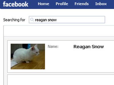 Последний полицейский кот Лондона вышел на пенсию - Хобби, отдых и развлечения