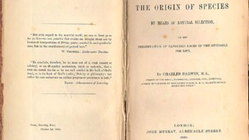 Первое издание «Происхождение видов»  продано за 52 тысячи долларов