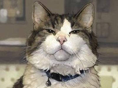 Кот безошибочно «предсказал» смерть 50 постояльцам американского дома престарелых - Хобби, отдых и развлечения