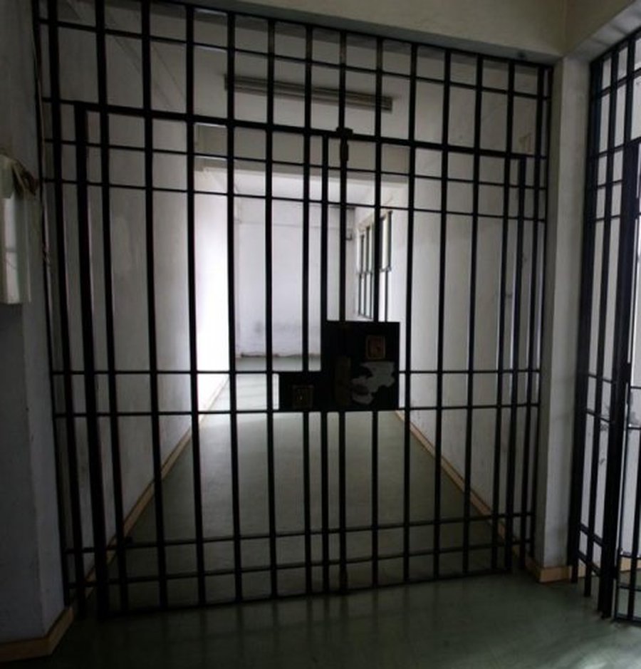 В планах министра юстиции - "виртуальная тюрьма" - Литва и страны Балтии