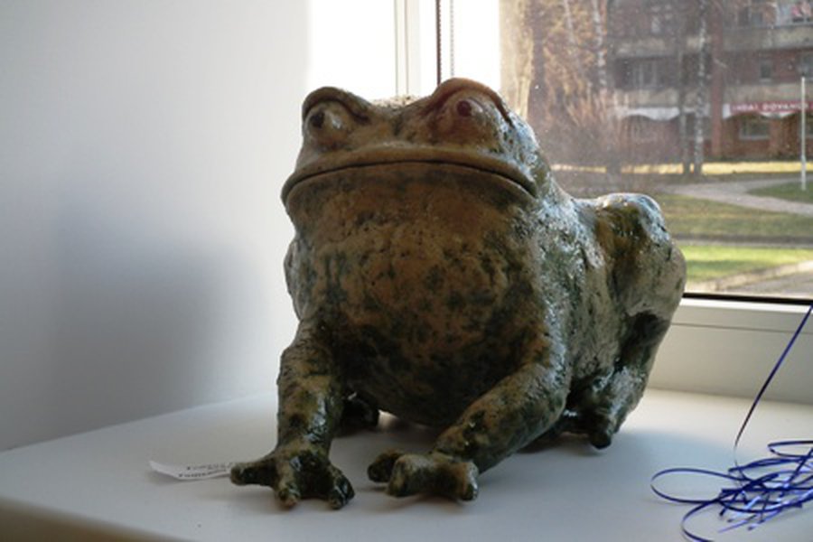 Декабрь — время рождественских чудес!                                                                                                                  - В Висагинасе