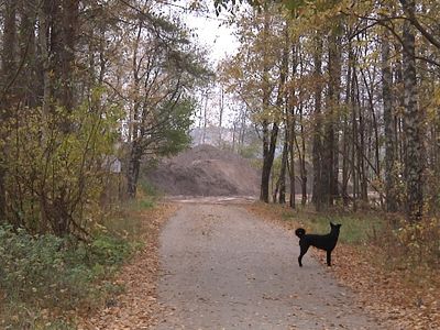 Что происходит сегодня в прибрежной зоне? - В Висагинасе