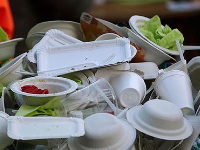 Депутаты Европарламента выступили за запрет на пластиковую посуду в ЕС с 2021 года - В Мире