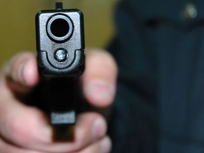 В пятницу утром в Пренайском районе житель уложил выстрелами двух нападавших - Происшествия и криминал