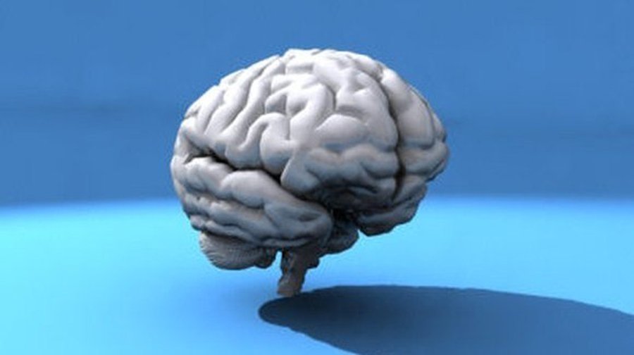 Мозг человека не всегда уменьшается с возрастом - Наука и здоровье