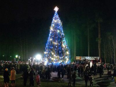 Наша городская елка — на 4-м месте!
                                                                                                  - В Висагинасе