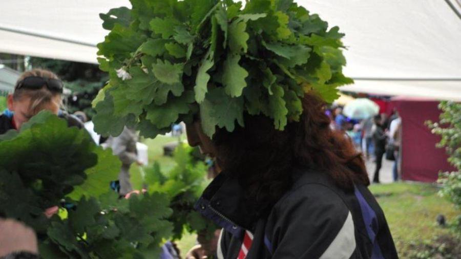 А вы нашли цветок Папоротника? - В Висагинасе