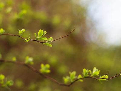 Прогноз: в середине недели похолодает - Литва и страны Балтии