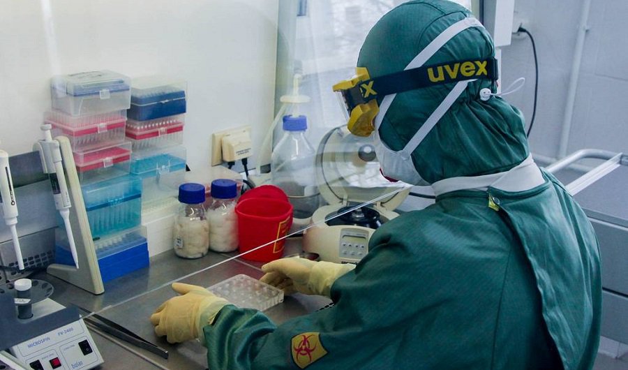 В Великобритании выделили шесть форм COVID-19 - Наука и здоровье