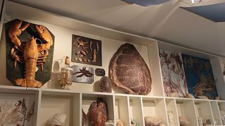 Салакас. Морской музей в 300 километрах от моря (видео)