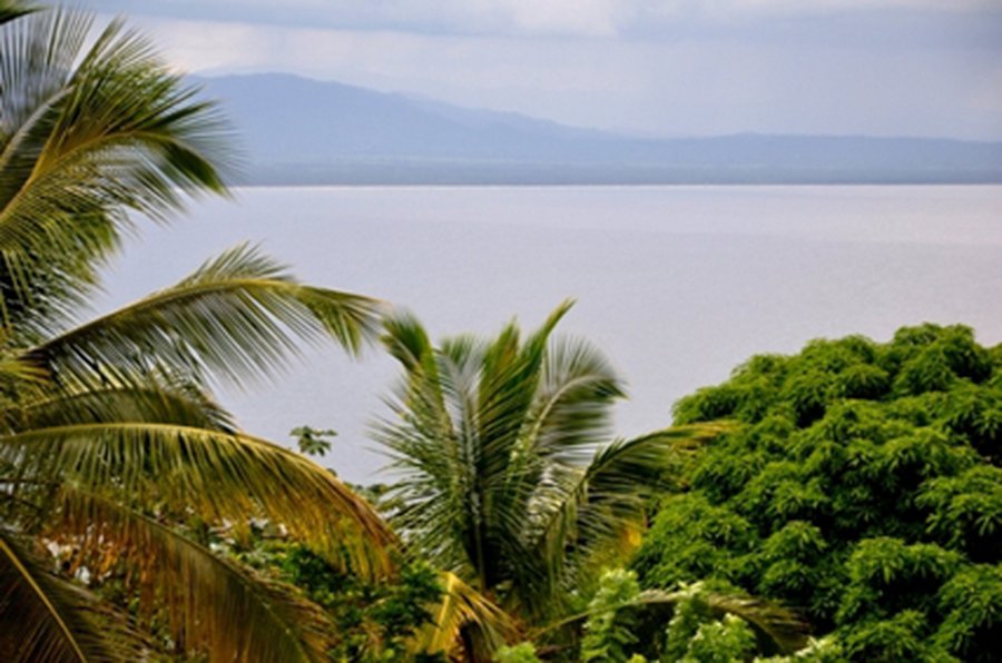 Президент Литвы раскритиковала склонность правительства к дорогостоящим командировкам - Литва и страны Балтии