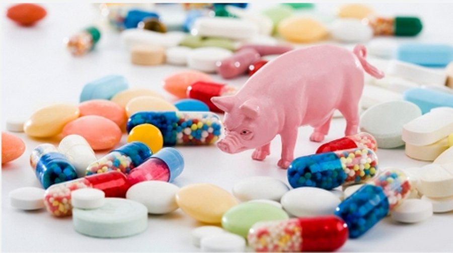 Человечество может вернуться в эру до появления антибиотиков - Наука и здоровье