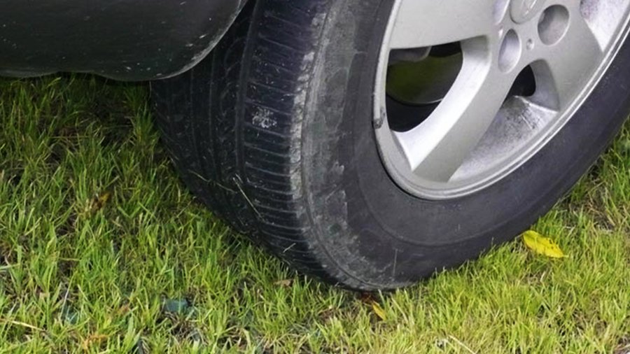 Ant vejos ir samanų automobiliui – ne vieta - Lietuva ir Baltijos šalys