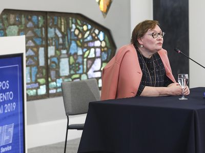 А.Мальдейкене о Ш.Марчюленисе: полное недоразумение - Литва и страны Балтии