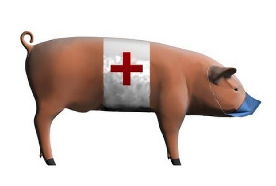 Ir vėl apie gripą
 - Lietuva ir Baltijos šalys