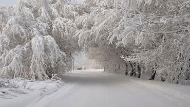 В Литву снова вернется зима