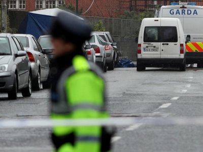 Ирландская полиция: литовок убил хладнокровный человек - Происшествия и криминал