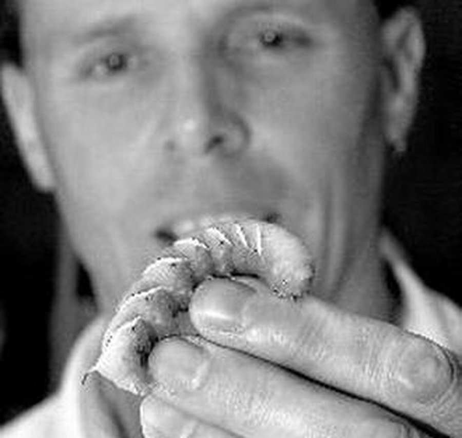 Ученые создают пластичных роботов - Наука и здоровье