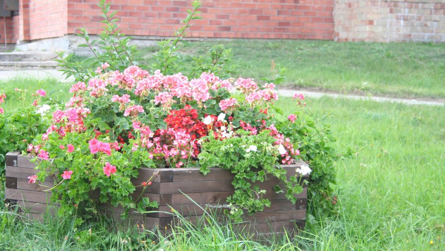 Наш город – не литовский Детройт! - Без цензуры