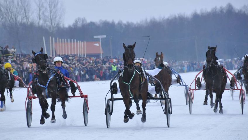 Зимние гонки на лошадях "Sartų lenktynės" перенесли на 10 февраля