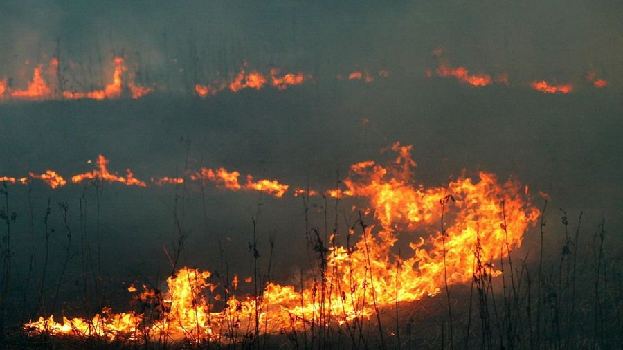 На улице Яунистес – еще один пожар на открытой территории - В Висагинасе