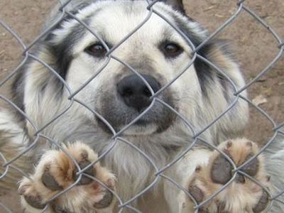 Поделись своим теплом - В Висагинасе