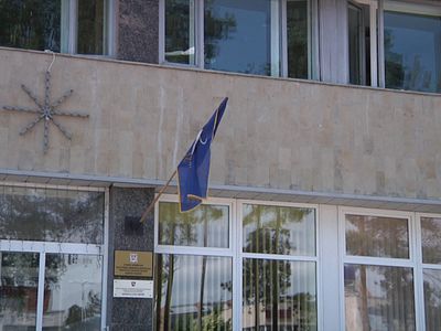 Возвращаясь к языковой ситуации в Висагинасе - В Висагинасе