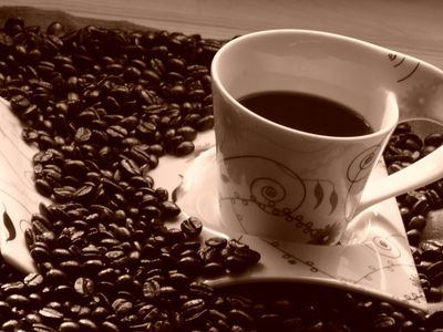 О пользе вредных привычек: пиво, кофе, лень
                                                                 - Хобби, отдых и развлечения