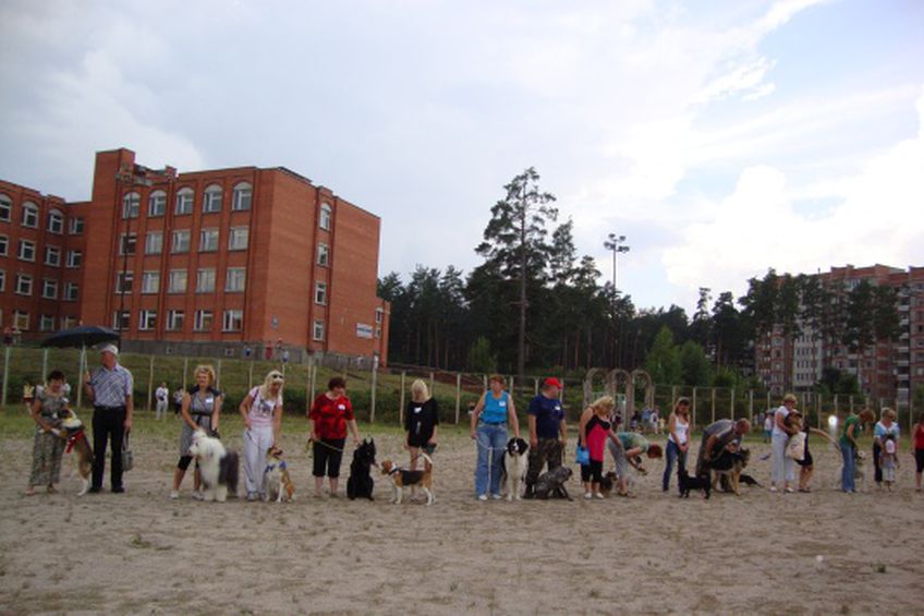 Выставка собак в Висагинасе: «первый блинчик»