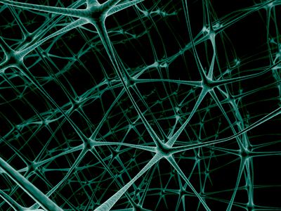 Жителя Томска обвиняют во взломе сайта президента России - IT новости