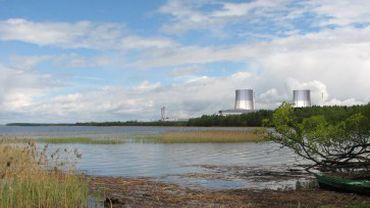 Эксперты МАГАТЭ оценят площадки будущей АЭС в Литве

