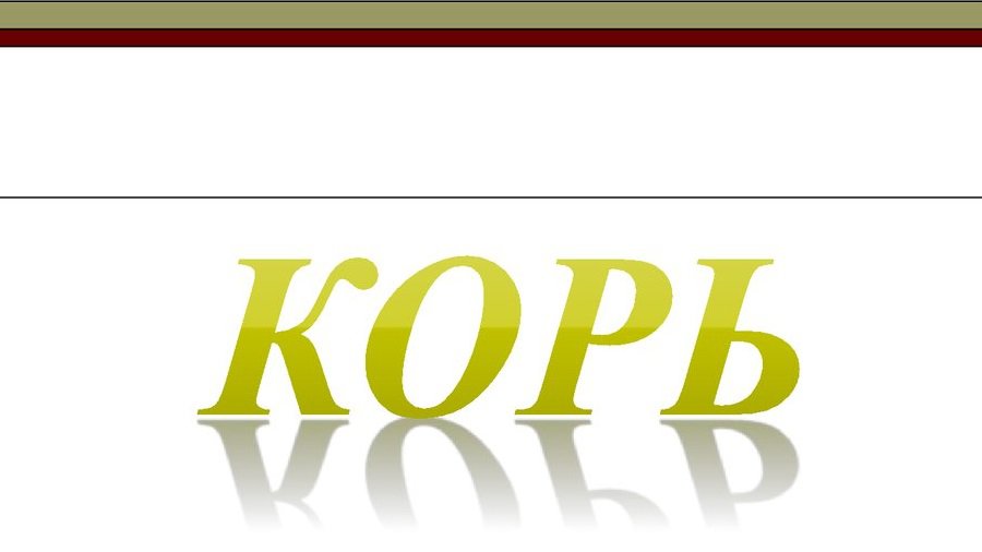 Елена Дзюба: «Кори у нас не было более 30 лет» - В Висагинасе