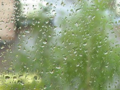 На праздниках, возможно, понадобятся зонты - В Висагинасе