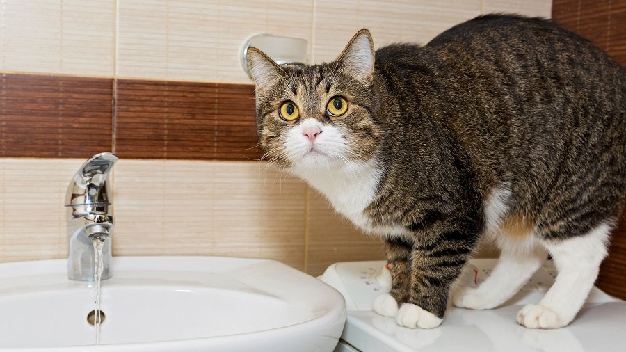 Об отключении холодной воды - В Висагинасе