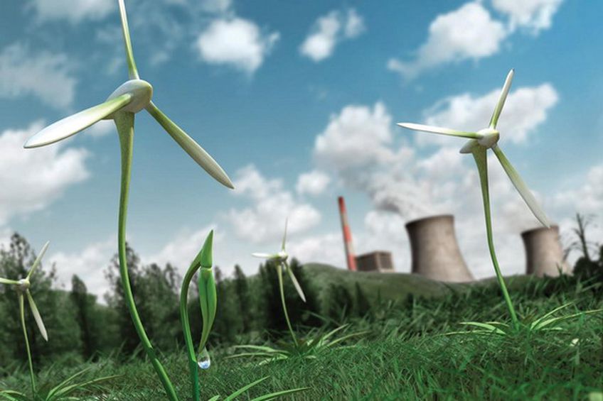 «Ветряки» для отвода глаз в Литве, амбиции Латвии и навязанная альтернатива Эстонии: Как в Прибалтике развивается «зеленая» энергетика
              