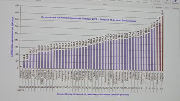 Поднят вопрос о повышенной заболеваемости и смертности в Висагинасе (видео)