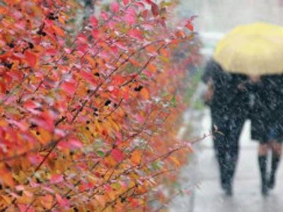 Погода: ненадолго вернется осеннее тепло и осадки - Литва и страны Балтии