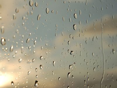 Наступила середина лета, но особого тепла не прогнозируют - Литва и страны Балтии