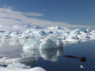 Konferencija jaunimui „Ar tirpstantys ledynai pasieks Visaginą?“ - Visagine