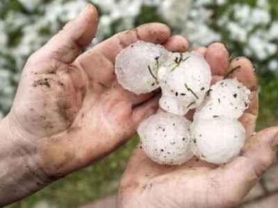 Град размером с мяч обрушился на Германию
 - В Мире