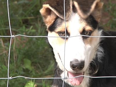 Помоги мне - В Висагинасе